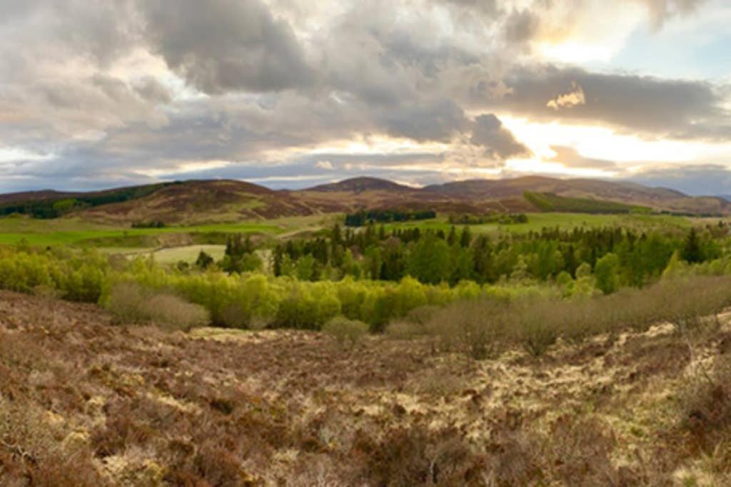 Blairbeg Cottage Blairgowrie and Rattray Eksteriør billede